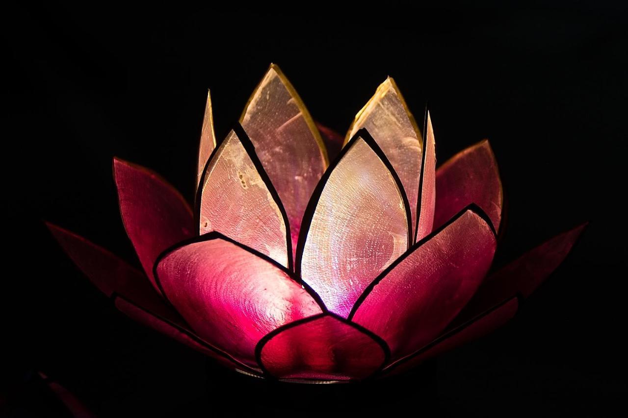 וינה Pink Lotus Apartment מראה חיצוני תמונה